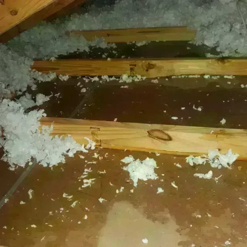 Attic Water Damage in Bridge City, LA